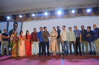 MLA Pre Release Function Photos